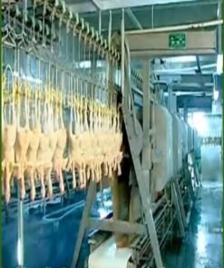 ENTEGRE TAVUK KESİMHANE MAKİNASI VE EKİPMANLARI